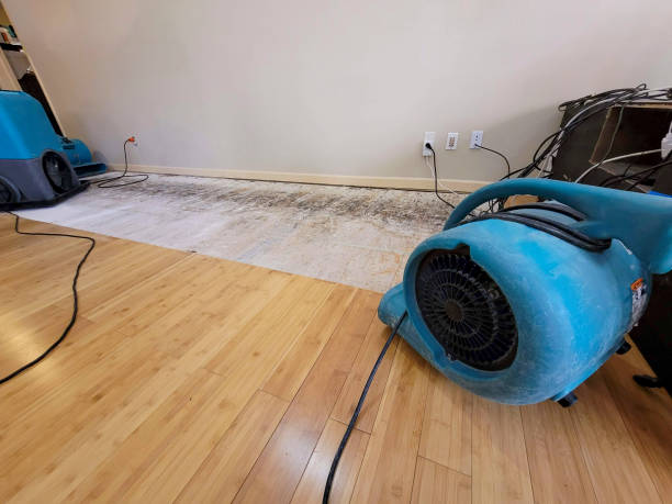 Professional Flood Damage Cleanup technician working in Wyoming, DE